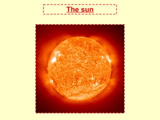 The sun 