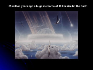 65 million years ago a huge meteorite of 10 km size hit the Earth 