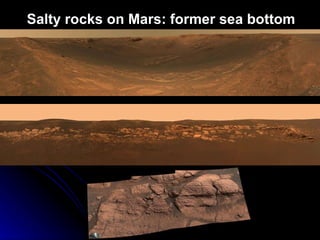Salty rocks on Mars: former sea bottom 