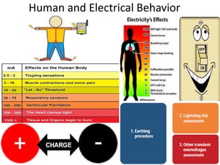 Human and Electrical Behavior
 
