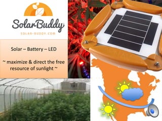 Solar – Battery – LED
~ maximize & direct the free
resource of sunlight ~
SolarBuddy is the world’sbright est integrated
It has a range of uses for indoor w ork-area lig
outdoor community lighting, is fully submersi
fis
h
ingorothermarineapplications.Inagricul
installations,theblue&redcolorspectraare
optimizephotosynthesis andflow eringprope
 