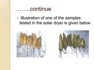 ……..continue
 Illustration of one of the samples
tested in the solar dryer is given below
 