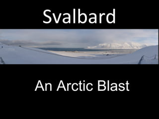 Svalbard
An Arctic Blast
 