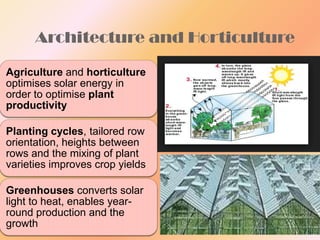 Architecture and Horticulture
Agriculture and horticulture
optimises solar energy in
order to optimise plant
productivity
Planting cycles, tailored row
orientation, heights between
rows and the mixing of plant
varieties improves crop yields
Greenhouses converts solar
light to heat, enables yearround production and the
growth

 