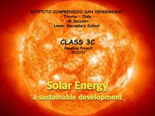ISTITUTO COMPRENSIVO SAN VENDEMIANO
– Treviso – Italy –
«G.Saccon»
Lower Secondary School
CLASS 3C
Comenius Project
2012/13
 