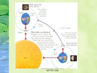 Mrs Shimi S.L, Asst. Prof., 
NITTTR, CHD
 