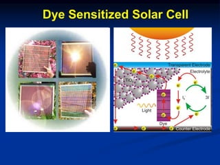 Dye Sensitized Solar Cell
 