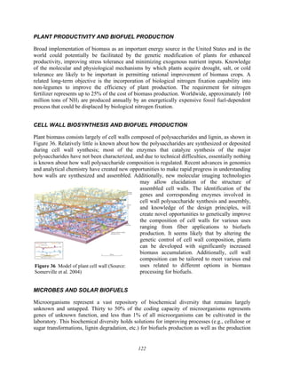 122
Figure 36 Model of plant cell wall (Source:
Somerville et al. 2004)
PLANT PRODUCTIVITY AND BIOFUEL PRODUCTION
Broad implementation of biomass as an important energy source in the United States and in the
world could potentially be facilitated by the genetic modification of plants for enhanced
productivity, improving stress tolerance and minimizing exogenous nutrient inputs. Knowledge
of the molecular and physiological mechanisms by which plants acquire drought, salt, or cold
tolerance are likely to be important in permitting rational improvement of biomass crops. A
related long-term objective is the incorporation of biological nitrogen fixation capability into
non-legumes to improve the efficiency of plant production. The requirement for nitrogen
fertilizer represents up to 25% of the cost of biomass production. Worldwide, approximately 160
million tons of NH3 are produced annually by an energetically expensive fossil fuel-dependent
process that could be displaced by biological nitrogen fixation.
CELL WALL BIOSYNTHESIS AND BIOFUEL PRODUCTION
Plant biomass consists largely of cell walls composed of polysaccharides and lignin, as shown in
Figure 36. Relatively little is known about how the polysaccharides are synthesized or deposited
during cell wall synthesis; most of the enzymes that catalyze synthesis of the major
polysaccharides have not been characterized, and due to technical difficulties, essentially nothing
is known about how wall polysaccharide composition is regulated. Recent advances in genomics
and analytical chemistry have created new opportunities to make rapid progress in understanding
how walls are synthesized and assembled. Additionally, new molecular imaging technologies
may allow elucidation of the structure of
assembled cell walls. The identification of the
genes and corresponding enzymes involved in
cell wall polysaccharide synthesis and assembly,
and knowledge of the design principles, will
create novel opportunities to genetically improve
the composition of cell walls for various uses
ranging from fiber applications to biofuels
production. It seems likely that by altering the
genetic control of cell wall composition, plants
can be developed with significantly increased
biomass accumulation. Additionally, cell wall
composition can be tailored to meet various end
uses related to different options in biomass
processing for biofuels.
MICROBES AND SOLAR BIOFUELS
Microorganisms represent a vast repository of biochemical diversity that remains largely
unknown and untapped. Thirty to 50% of the coding capacity of microorganisms represents
genes of unknown function, and less than 1% of all microorganisms can be cultivated in the
laboratory. This biochemical diversity holds solutions for improving processes (e.g., cellulose or
sugar transformations, lignin degradation, etc.) for biofuels production as well as the production
 