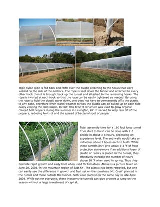 Then nylon rope is fed back and forth over the plastic attaching to the hooks that were
welded on the side of the anchors. The rope is sent down the tunnel and attached to every
other hook then it is brought back up the tunnel and attached to the remaining hooks. The
rope is twisted at each hook so that the rope can be easily tightened as needed. By using
the rope to hold the plastic cover down, one does not have to permanently affix the plastic
to any base. Therefore when warm weather strikes the plastic can be pulled up on each side
easily venting the crop inside. In fact, this type of structure was used to grow organic
colored bell peppers during the summer in Lexington, KY. It served to keep rain off of the
peppers, reducing fruit rot and the spread of bacterial spot of pepper.




                                               Total assembly time for a 160 foot long tunnel
                                               from start to finish can be done with 2-3
                                               people in about 3-6 hours, depending on
                                               experience level. The end walls would take an
                                               individual about 2 hours each to build. While
                                               these tunnels only give about 2-3 oF of frost
                                               protection alone-more if an additional layer of
                                               plastic or remay is placed in the tunnel, they
                                               effectively increase the number of hours
                                               above 50 oF when used in spring. Thus they
promote rapid growth and early fruit when used for tomatoes. Above is a picture taken on
June 20, 2008, in the mountain region of East KY. The plastic had been removed, but one
can easily see the difference in growth and fruit set on the tomatoes 'Mt. Crest' planted in
the tunnel and those outside the tunnel. Both were planted on the same day in late April
2008. While not for everyone, these inexpensive tunnels can give growers a jump on the
season without a large investment of capital.
 