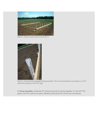 Figure 2. Ground posts ready to be driven in.




Figure 3. Ground posts damaged during pounding. This can be prevented by pounding on a 2"x4"
rather then directly on the PVC pipe.



5. Hoop Assembly. Assemble 30’ hoops and purlin by gluing together 10’ and 20’ PVC
pipes. Use PVC primer and glue, following instructions for correct use of products.
 