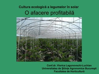 Cultura ecologică a legumelor în solar   O afacere profitabilă Conf.dr.   Viorica Lagunovschi-Luchian Universitatea de Ştiinţe Agronomice Bucureşti Facultatea de Horticultură 