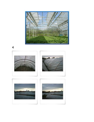 Solarii cum sa construim