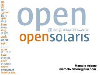 Marcelo Arbore marcelo.arbore@sun.com  