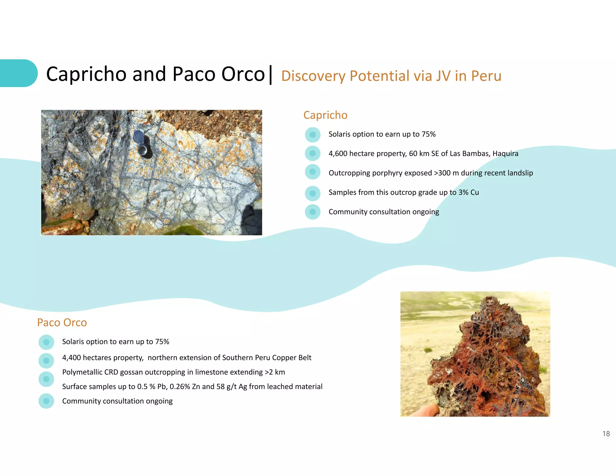 18
Solaris option to earn up to 75%
4,600 hectare property, 60 km SE of Las Bambas, Haquira
Outcropping porphyry exposed >300 m during recent landslip
Samples from this outcrop grade up to 3% Cu
Community consultation ongoing
Capricho and Paco Orco| Discovery Potential via JV in Peru
Capricho
Solaris option to earn up to 75%
4,400 hectares property,  northern extension of Southern Peru Copper Belt
Polymetallic CRD gossan outcropping in limestone extending >2 km
Surface samples up to 0.5 % Pb, 0.26% Zn and 58 g/t Ag from leached material
Community consultation ongoing
Paco Orco
 