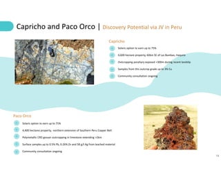 18
Solaris option to earn up to 75%
4,600 hectare property, 60km SE of Las Bambas, Haquira
Outcropping porphyry exposed >300m during recent landslip
Samples from this outcrop grade up to 3% Cu
Community consultation ongoing
Capricho and Paco Orco | Discovery Potential via JV in Peru
Capricho
Solaris option to earn up to 75%
4,400 hectares property, northern extension of Southern Peru Copper Belt
Polymetallic CRD gossan outcropping in limestone extending >2km
Surface samples up to 0.5% Pb, 0.26% Zn and 58 g/t Ag from leached material
Community consultation ongoing
Paco Orco
 
