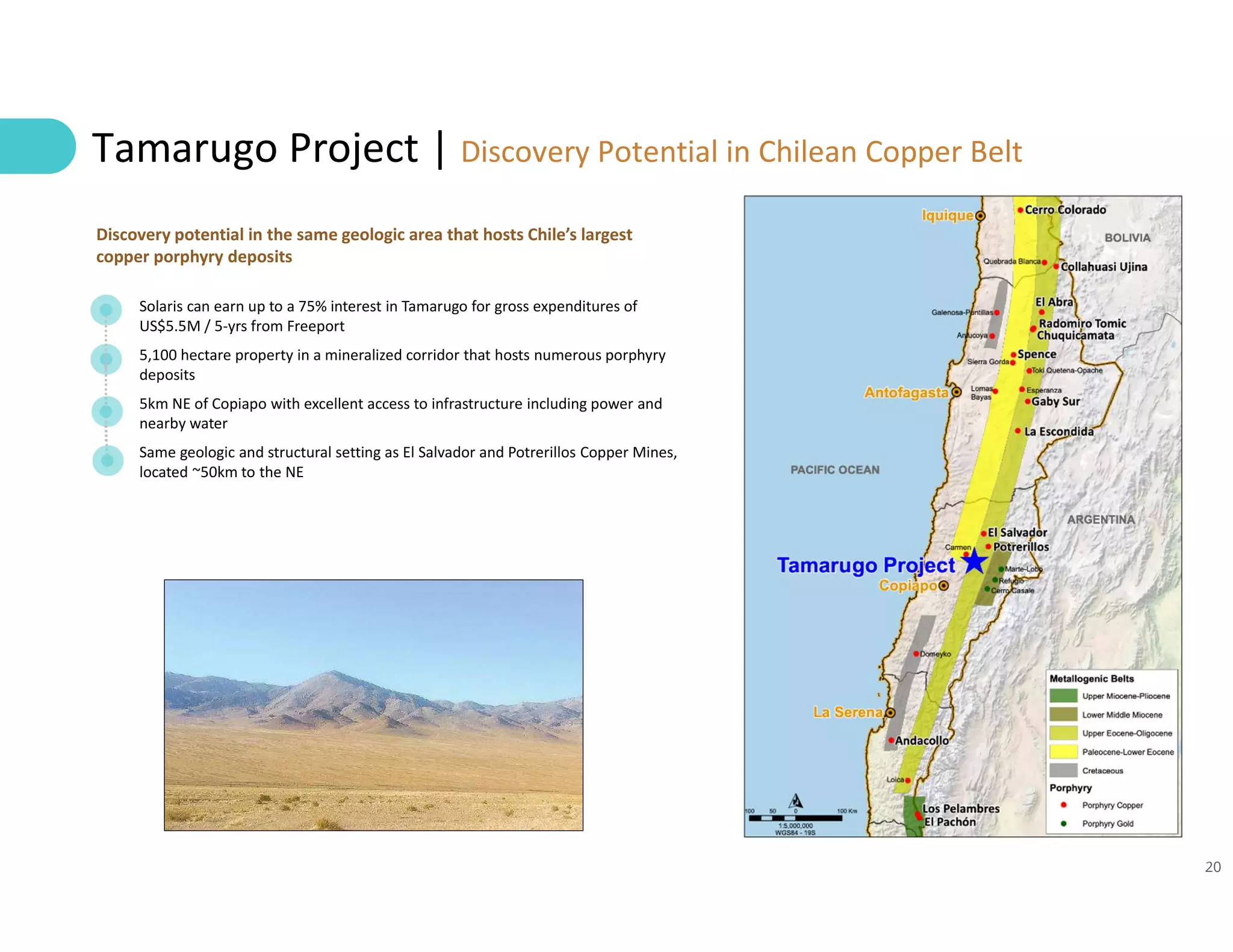 20
Tamarugo Project | Discovery Potential in Chilean Copper Belt
Solaris can earn up to a 75% interest in Tamarugo for gross expenditures of
US$5.5M / 5-yrs from Freeport
5,100 hectare property in a mineralized corridor that hosts numerous porphyry
deposits
5km NE of Copiapo with excellent access to infrastructure including power and
nearby water
Same geologic and structural setting as El Salvador and Potrerillos Copper Mines,
located ~50km to the NE
Discovery potential in the same geologic area that hosts Chile’s largest
copper porphyry deposits
 