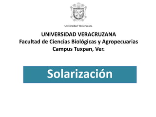 UNIVERSIDAD VERACRUZANAFacultad de Ciencias Biológicas y Agropecuarias Campus Tuxpan, Ver. Solarización 