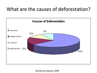 What are the causes of deforestation? Rainforest alliance 1999  