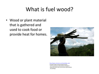 What is fuel wood? Wood or plant material that is gathered and used to cook food or provide heat for homes. http://www.csmonitor.com/var/ezflow_site/ storage/images/media/images/012010 -haiti-environment-deforestation/7243026-1 -eng-US/012010-haiti-environment-deforestation _full_600.jpg 