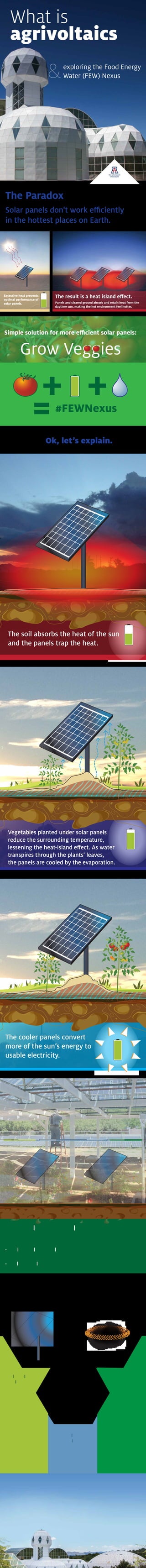 =
Excessive heat prevents
optimal performance of
solar panels. Panels and cleared ground absorb and retain heat from the
daytime sun, making the hot environment feel hotter.
The soil absorbs the heat of the sun
and the panels trap the heat.
Vegetables planted under solar panels
reduce the surrounding temperature,
transpires through the plants’ leaves,
the panels are cooled by the evaporation.
Grow Veggies
+ +
Ok, let’s explain.
in the hottest places on Earth.
The Paradox
Shaded plants require less water.
- Healthier plants are less prone to heat stress
- Cooled panels capture more energy
The cooler panels convert
more of the sun’s energy to
usable electricity.
Cooler solar
panels capture
more energy
from the sun.
Vegetable crops
share the
land with
solar panels.
Shaded plants
consume less water.
agrivoltaics
What is
exploring the Food Energy
Water (FEW) Nexus&
#FEWNexus
#Biosphere2
Research.arizona.edu/stories/agrivoltaics
#FEWNexus
 