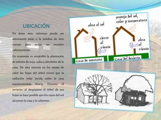 UBICACIÓN
En áreas muy calurosas puede ser
interesante estar a la sombra de otro
cuerpo    para     evitar    un    excesivo
calentamiento

En ocasiones es aceptable la plantación
de árboles de hoja caduca alrededor de la
casa. De esta manera en los meses de
calor las hojas del árbol evitan que la
radiación solar incida sobre la casa
manteniéndola      fresca.   Durante     el
invierno al despojarse el árbol de sus
hojas se hace posible que los rayos del sol
alcancen la casa y la calienten.
 