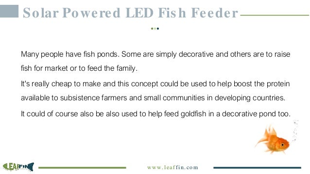 Diy Solar Powered Led Fish Feeder