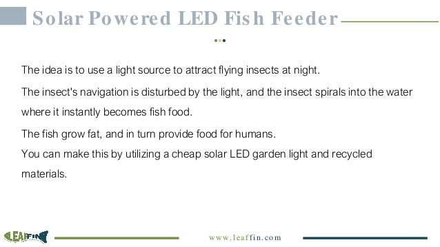 Diy Solar Powered Led Fish Feeder