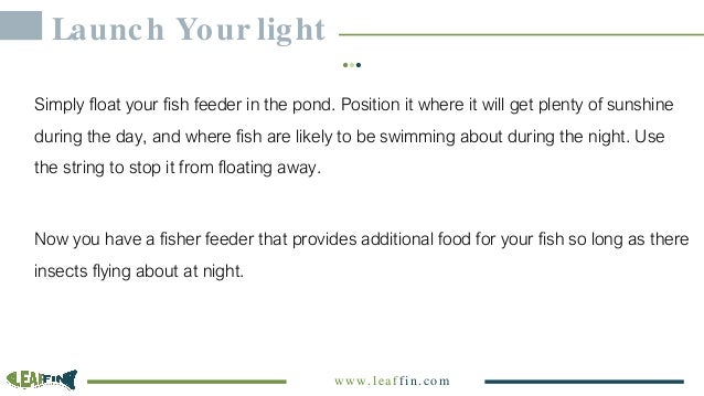 Diy Solar Powered Led Fish Feeder