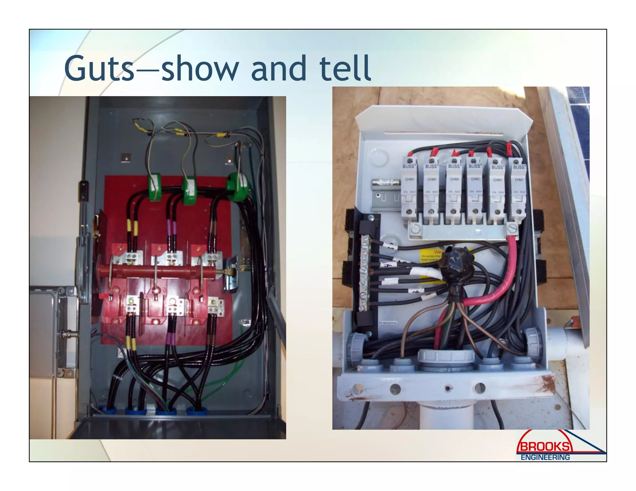 Guts—show and tell
 