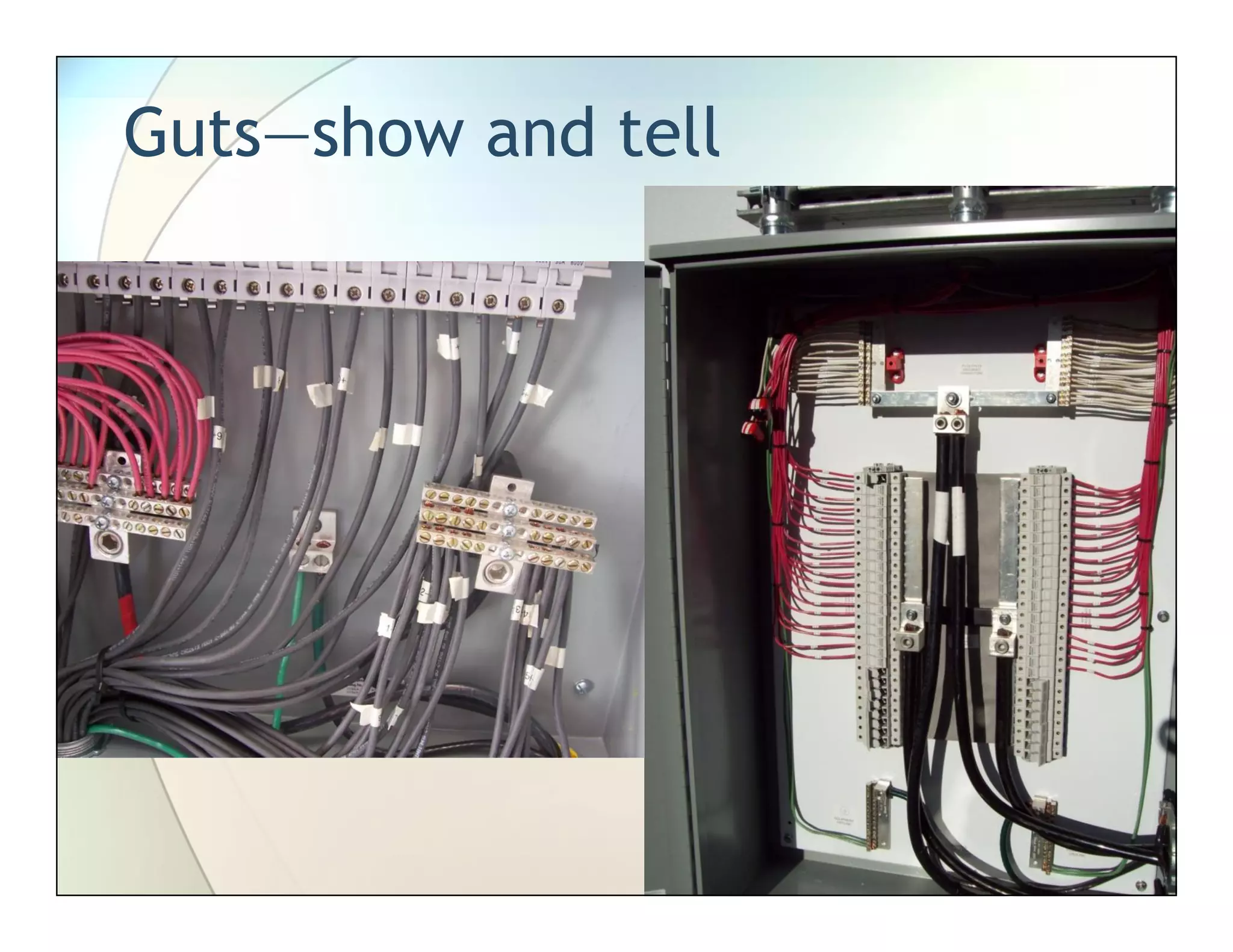 Guts—show and tell
 