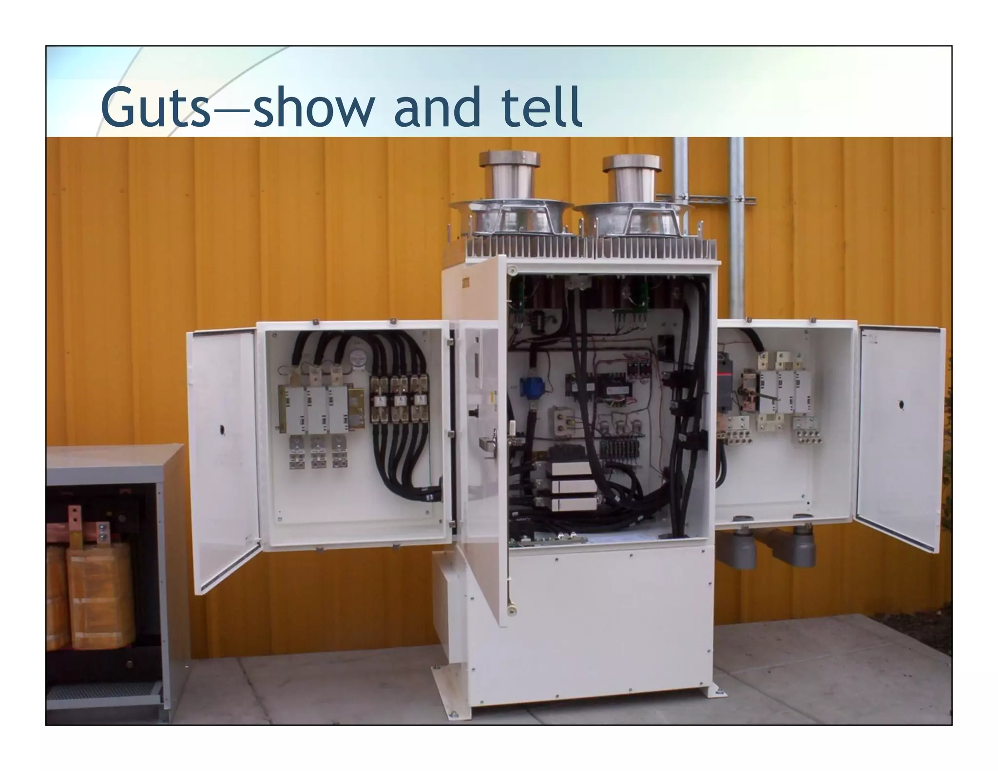 Guts—show and tell
 