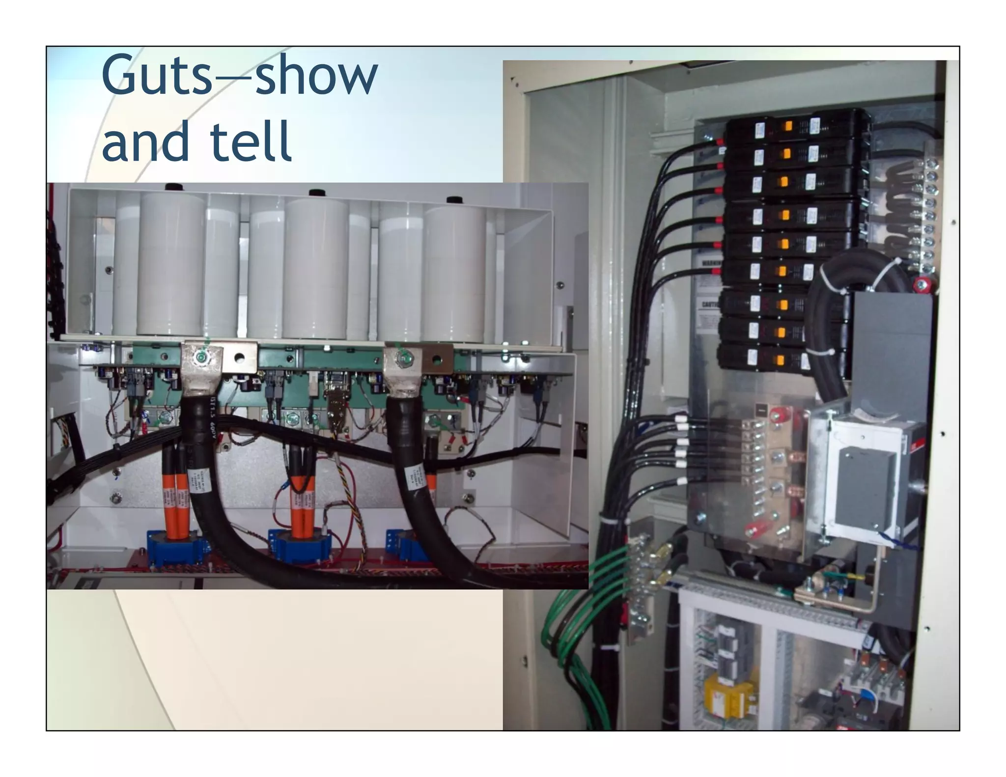 Guts—show
and tell
 