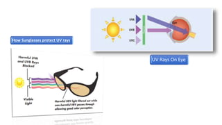 How Sunglasses protect UV rays
UV Rays On Eye
 