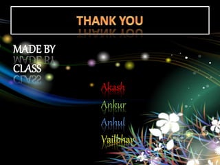 Akash
Ankur
Anhul
Vailbhav
 