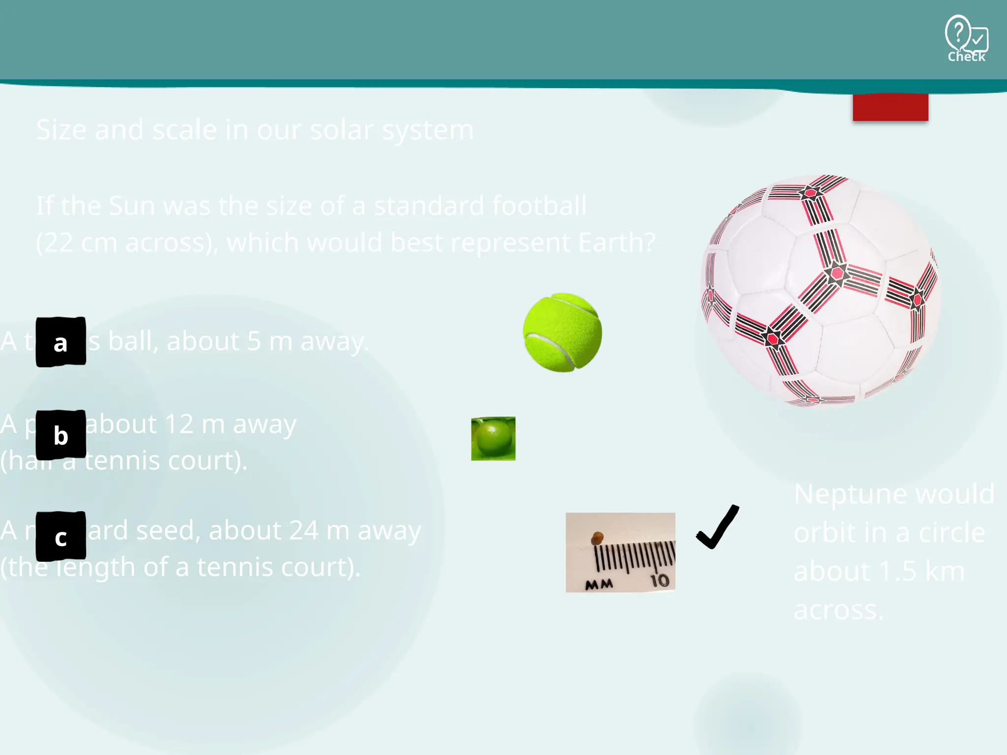 Check
If the Sun was the size of a standard football
(22 cm across), which would best represent Earth?
Size and scale in our solar system
A tennis ball, about 5 m away.
A pea, about 12 m away
(half a tennis court).
A mustard seed, about 24 m away
(the length of a tennis court).
Neptune would
orbit in a circle
about 1.5 km
across.
a
b
c
 