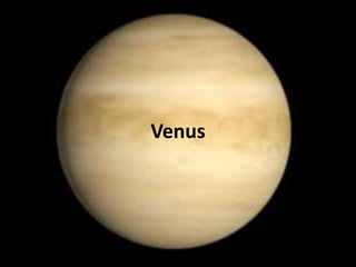 Venus
 