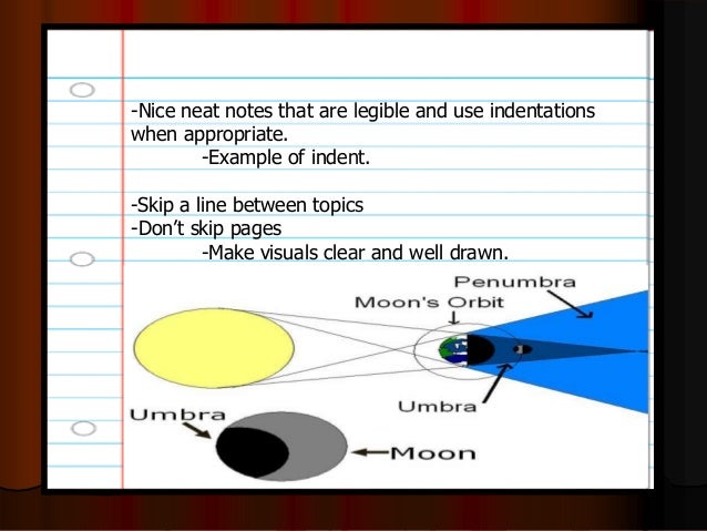 what is discovery essay hobby