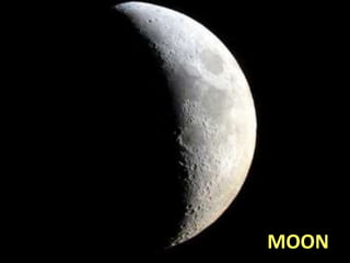 MOON
 