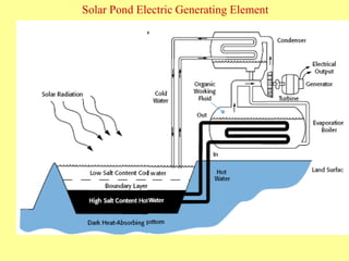 Solar Pond Electric Generating Element
 