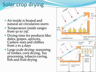 Solar crop drying
 Air inside is heated and
natural air circulation starts
 Temperature inside ranges
from 50 to 75C
 Drying time for products like:
dates, grapes, apricots,
Cashew nuts and chillies
from 2 to 4 days
 Large scale drying: seasoning
of timber, corn drying, Tea
processing, tobacco curing,
fish and fruit drying
 