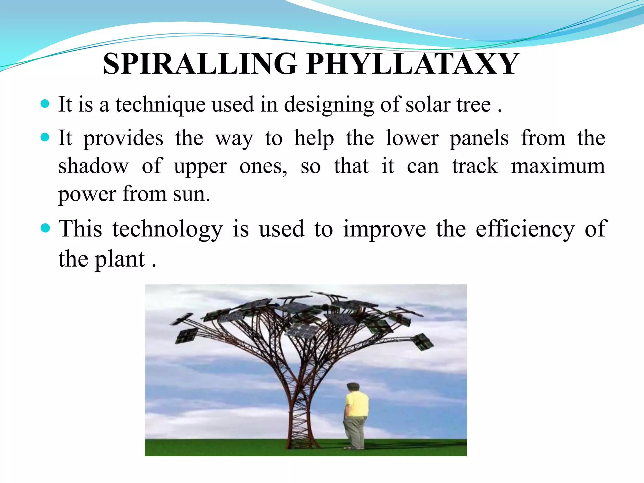 SPIRALLING PHYLLATAXY
 It is a technique used in designing of solar tree .
 It provides the way to help the lower panels from the
shadow of upper ones, so that it can track maximum
power from sun.
 This technology is used to improve the efficiency of
the plant .
 