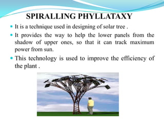 SPIRALLING PHYLLATAXY
 It is a technique used in designing of solar tree .
 It provides the way to help the lower panels from the
shadow of upper ones, so that it can track maximum
power from sun.
 This technology is used to improve the efficiency of
the plant .
 