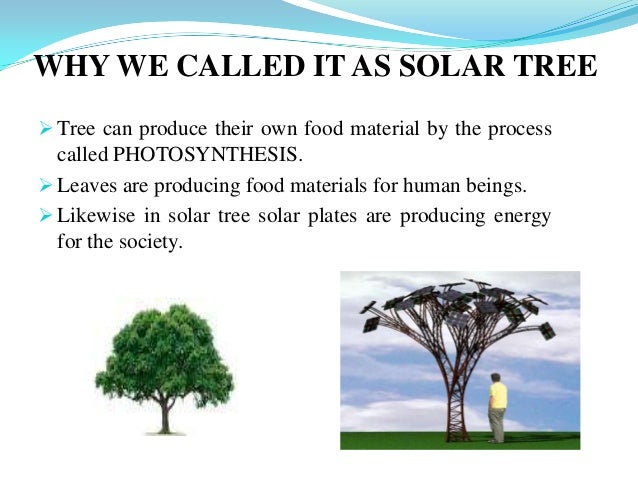 Solar tree ppt