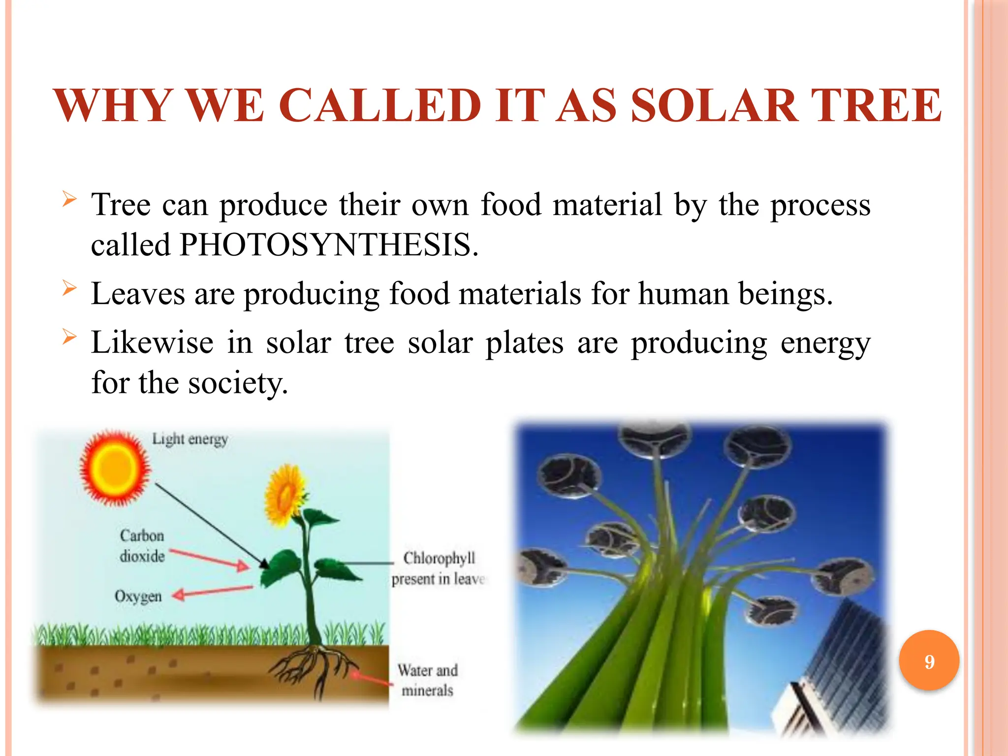 9
 Tree can produce their own food material by the process
called PHOTOSYNTHESIS.
 Leaves are producing food materials for human beings.
 Likewise in solar tree solar plates are producing energy
for the society.
WHY WE CALLED IT AS SOLAR TREE
 