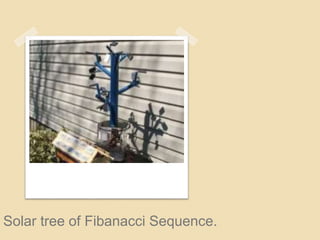 Solar tree of Fibanacci Sequence.
 