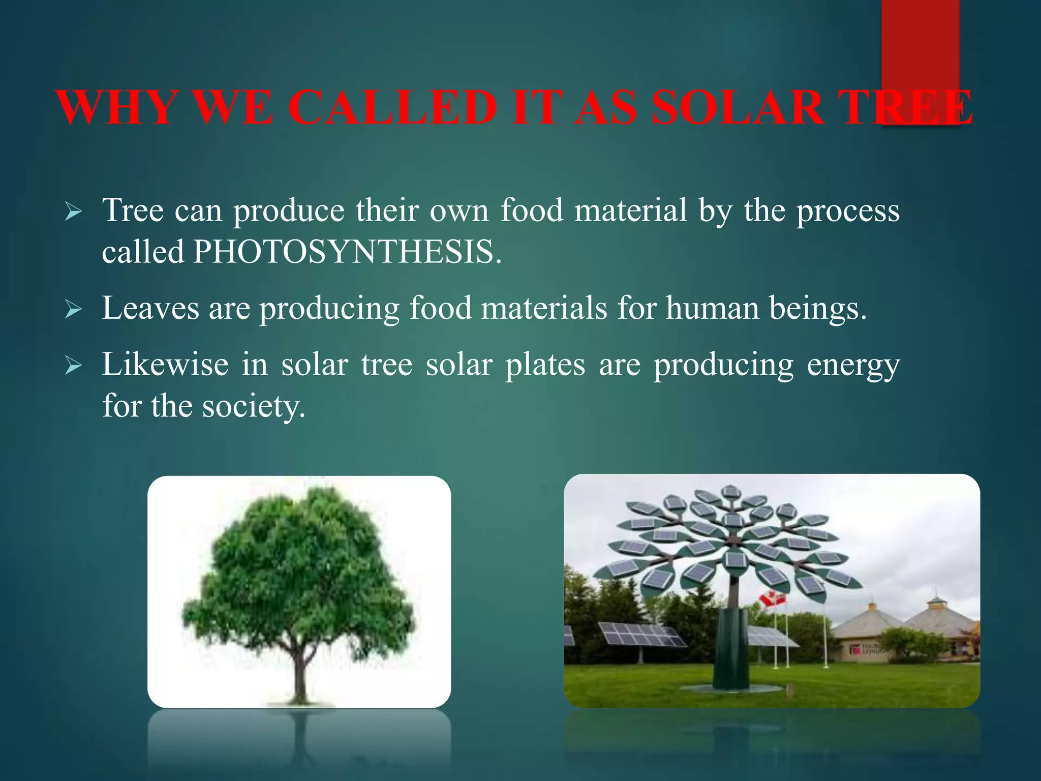  Tree can produce their own food material by the process
called PHOTOSYNTHESIS.
 Leaves are producing food materials for human beings.
 Likewise in solar tree solar plates are producing energy
for the society.
WHY WE CALLED IT AS SOLAR TREE
 