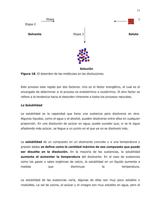 11
Etapa 1
Etapa 2
Solvente Etapa 3 Soluto
Solución
Figura 18. El desorden de las moléculas en las disoluciones.
Este proceso esta regido por dos factores. Uno es el factor energético, el cual es el
encargado de determinar si el proceso es endotérmico o exotérmico. El otro factor se
refiere a la tendencia hacia el desorden inherente a todos los procesos naturales.
La Solubilidad
La solubilidad es la capacidad que tiene una sustancia para disolverse en otra.
Algunos líquidos, como el agua y el alcohol, pueden disolverse entre ellos en cualquier
proporción. En una disolución de azúcar en agua, puede suceder que, si se le sigue
añadiendo más azúcar, se llegue a un punto en el que ya no se disolverá más.
La solubilidad de un compuesto en un disolvente concreto y a una temperatura y
presión dadas se define como la cantidad máxima de ese compuesto que puede
ser disuelta en la disolución. En la mayoría de las sustancias, la solubilidad
aumenta al aumentar la temperatura del disolvente. En el caso de sustancias
como los gases o sales orgánicas de calcio, la solubilidad en un líquido aumenta a
medida que disminuye la temperatura.
La solubilidad de las sustancias varía, algunas de ellas son muy poco solubles o
insolubles. La sal de cocina, el azúcar y el vinagre son muy solubles en agua, pero el
 