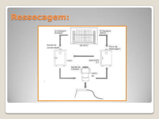 Ressecagem:
 