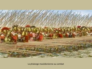 La phalange macédonienne au combat