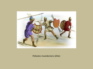 Peltastes macédoniens (élite)